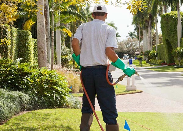 About Montgomery LA Pest Control